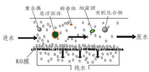 反渗透膜